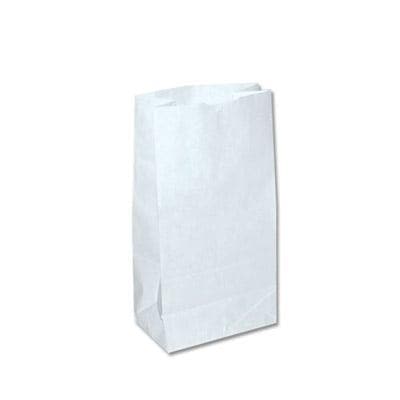 2# White Paper Bags No-Handle Grocery Bag (500Ct)