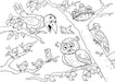 8 1/2" x 14" Restaurant Coloring Sheets (500 per pack) - Bird Theme - POSpaper.com