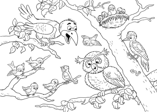 8 1/2" x 14" Restaurant Coloring Sheets (500 per pack) - Bird Theme - POSpaper.com